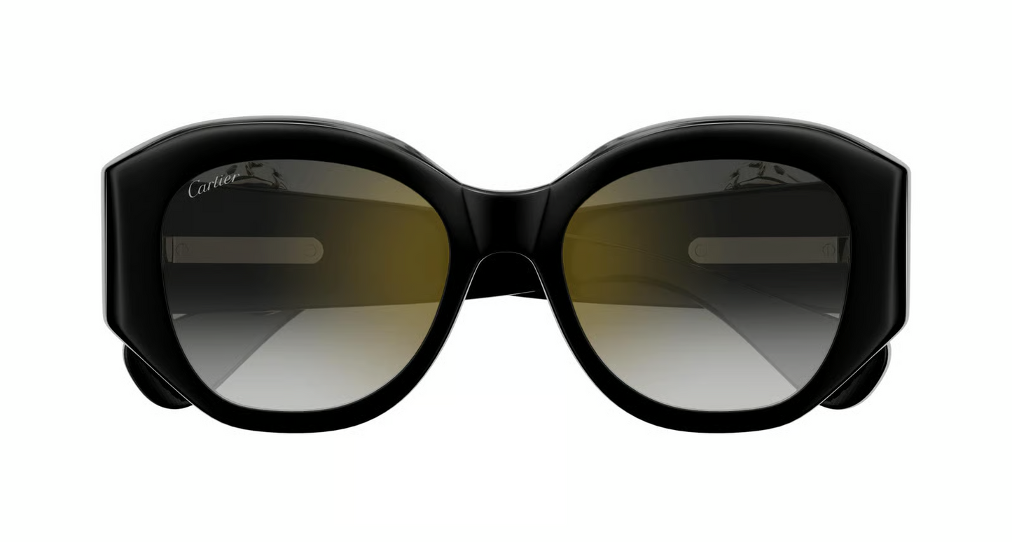 Cartier CT0502S Sunglasses