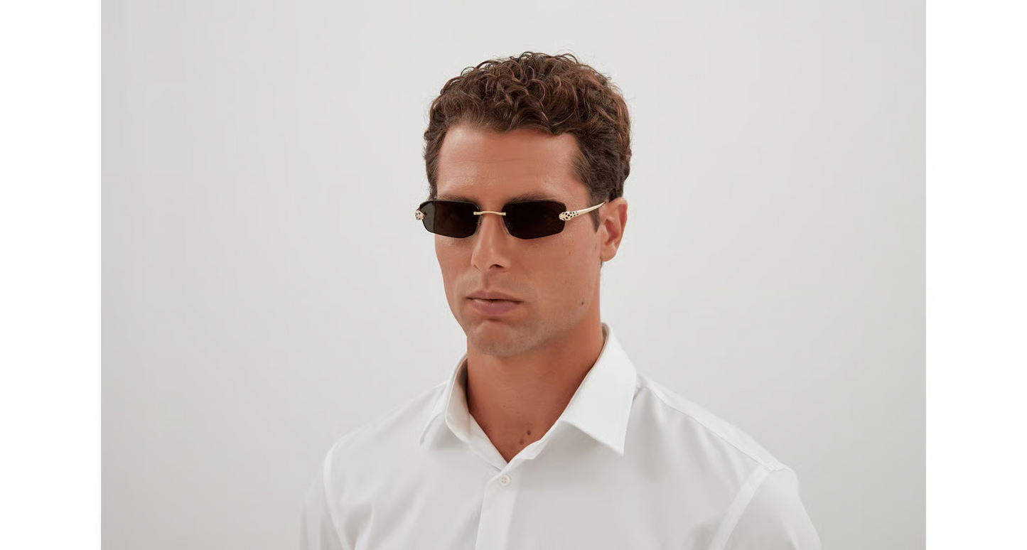 Cartier CT0474S Sunglasses