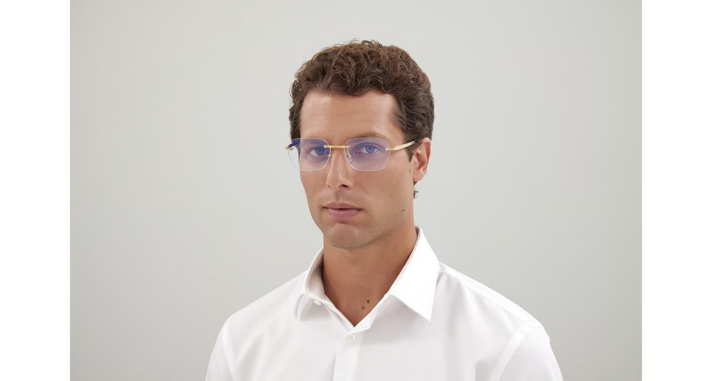 Cartier CT0407O Eyeglasses