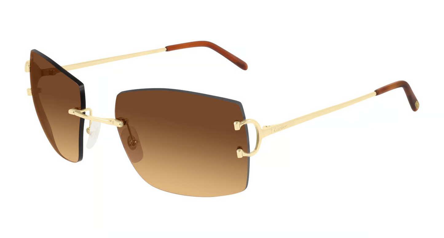 Cartier CT0009RS Sunglasses