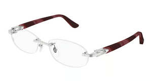 001 - Silver with Clear Lenses