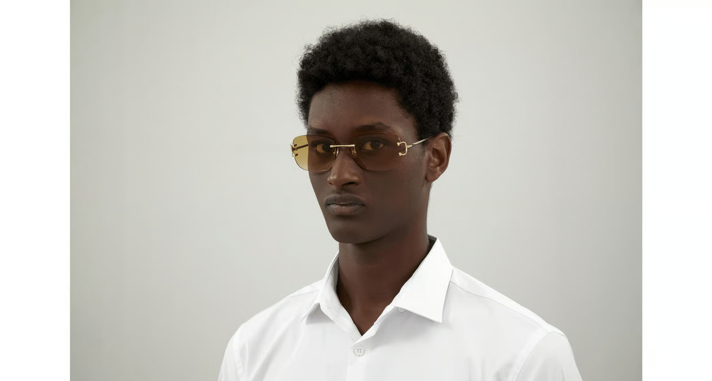 Cartier CT0011RS Sunglasses