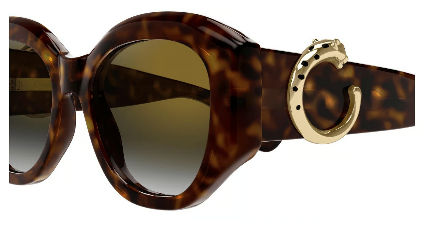 Cartier CT0502S Sunglasses