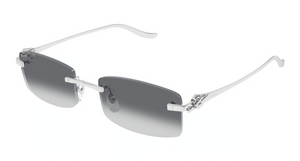 002 - Silver With Grey Lenses