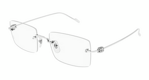 003 - Silver with Clear Lenses