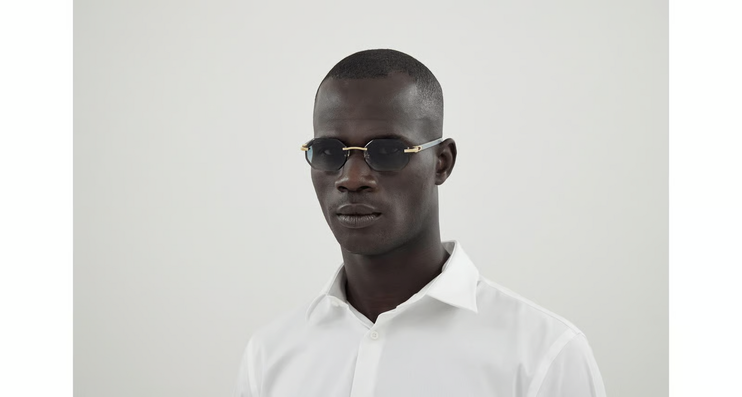 Cartier CT0439S Sunglasses
