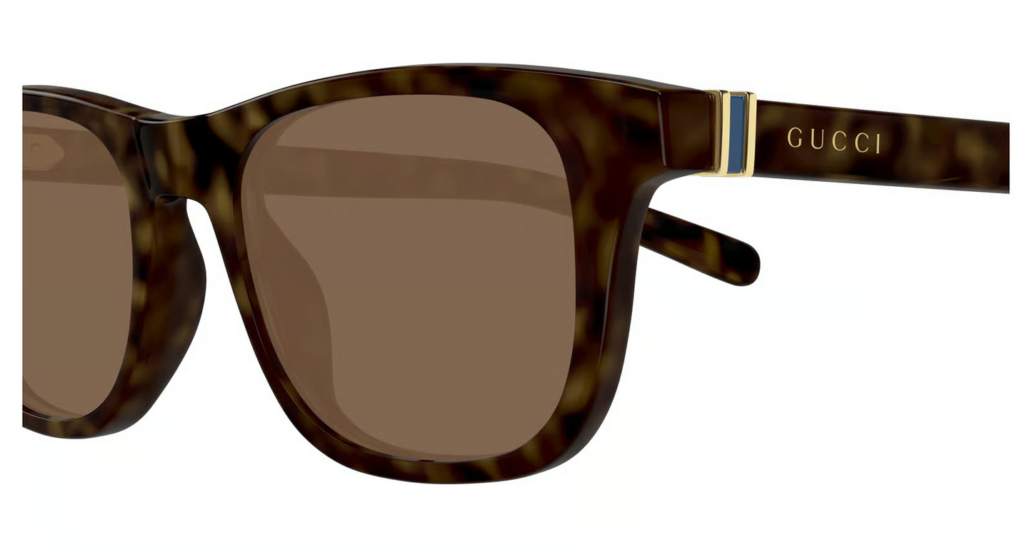 Gucci GG1671S Sunglasses