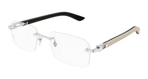 009 - Silver with Clear Lenses