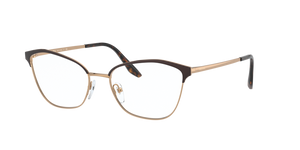 04E1O1 - Matte Red/Pink Gold with Clear Lenses