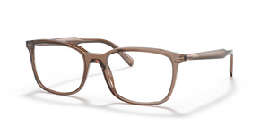 09F1O1 - Brown/Light Brown with Clear Lenses