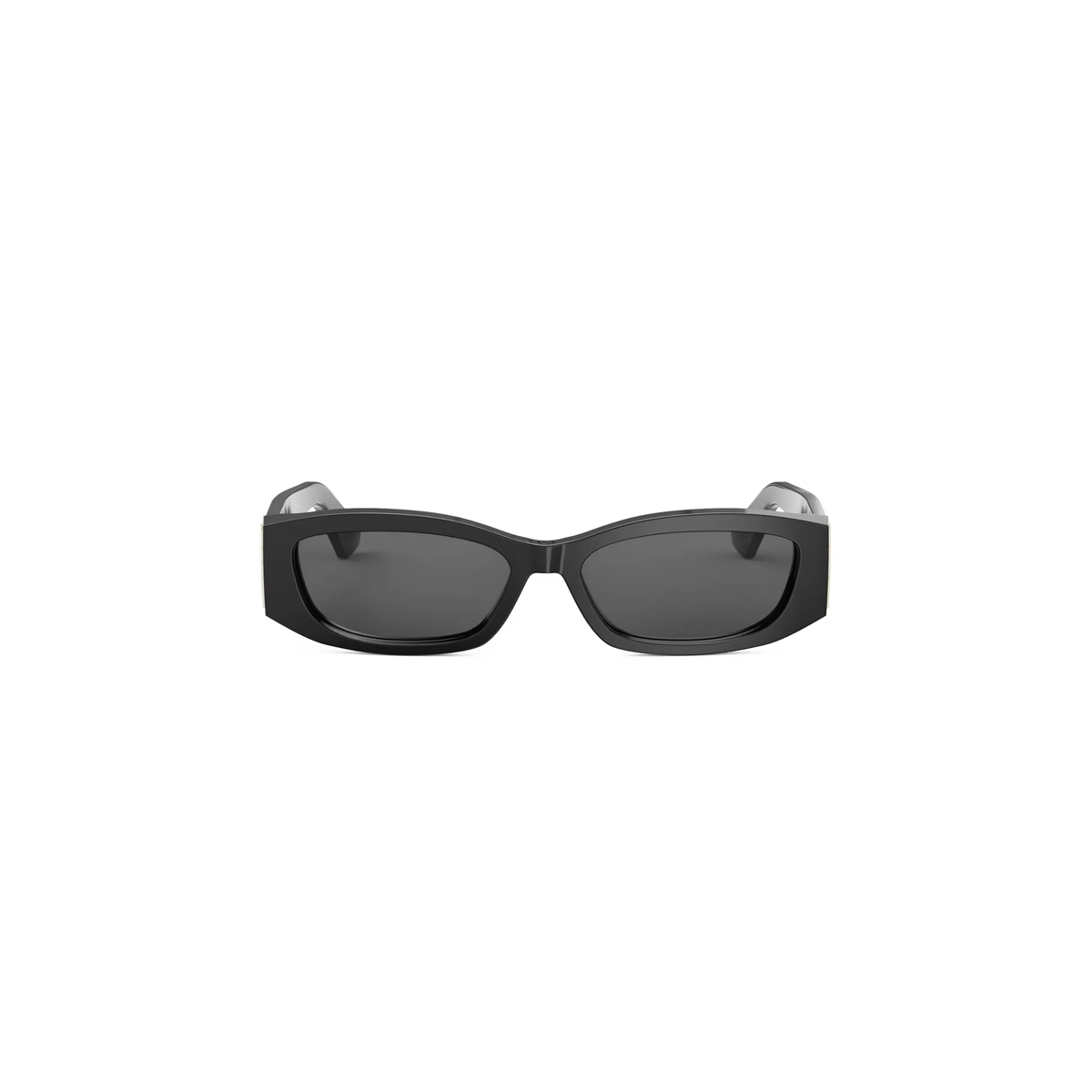 Dior Graphique S1I CD40220I Sunglasses