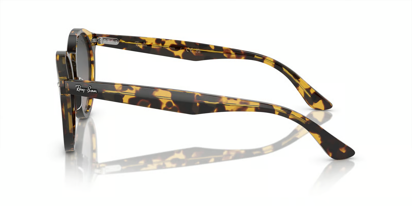 Ray-Ban RB7680S Larry Sunglasses