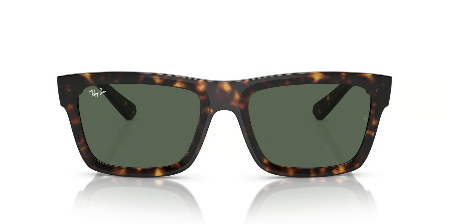 Ray-Ban RB4396F Warren Sunglasses