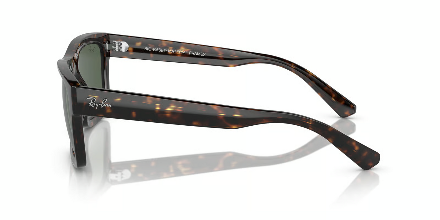 Ray-Ban RB4396F Warren Sunglasses