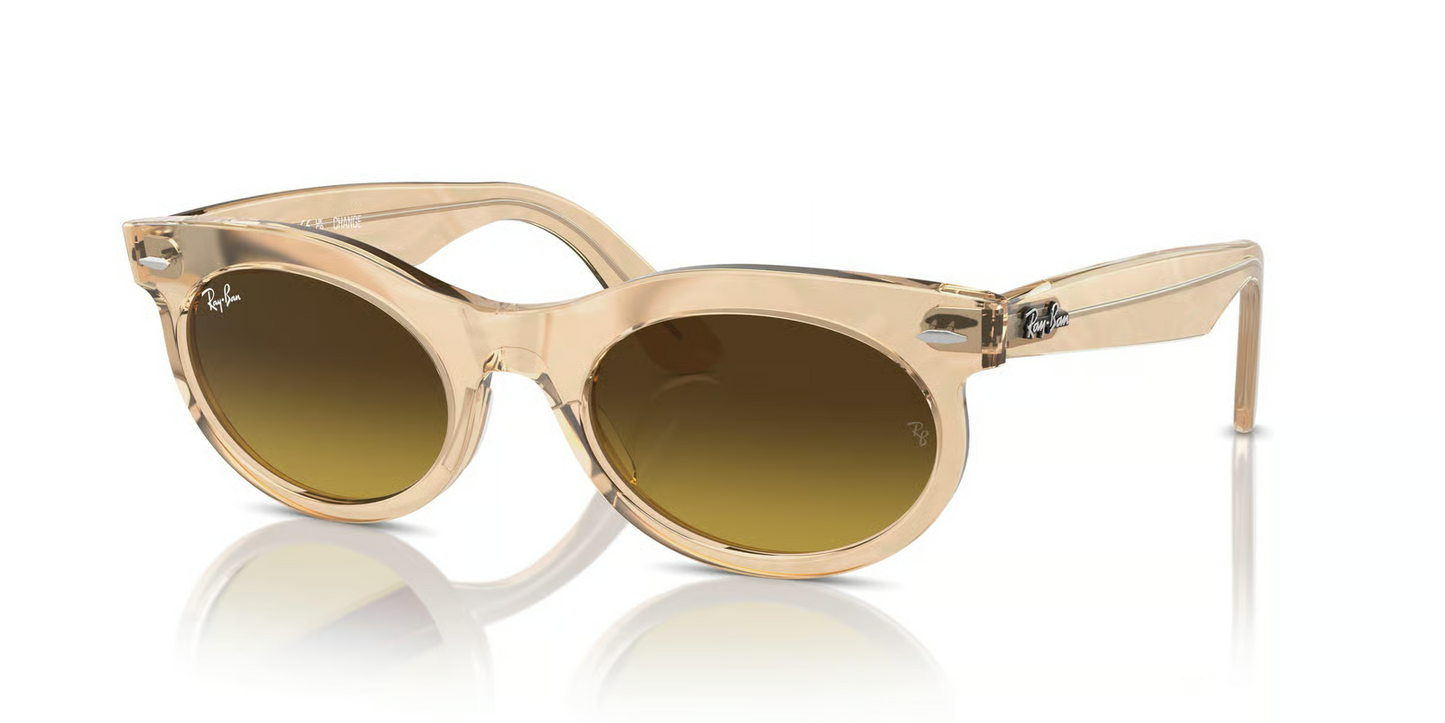 Ray-Ban RB2242F Wayfarer Oval Sunglasses
