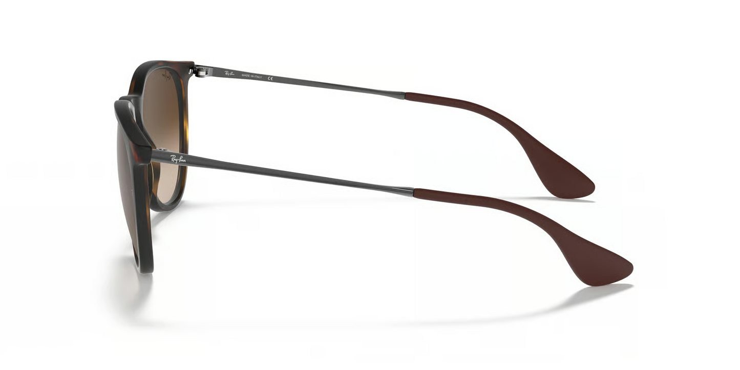 Ray-Ban RB4171F Erika Sunglasses