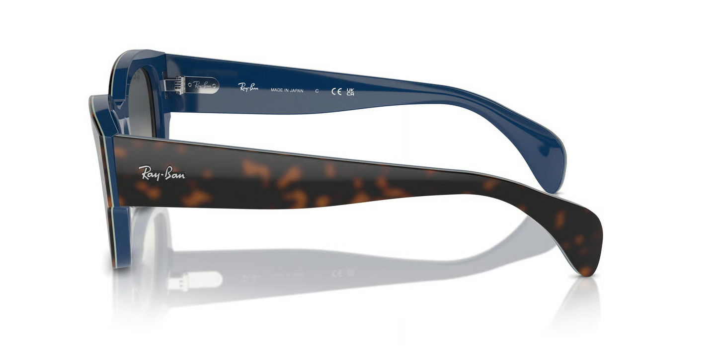 Ray-Ban RB7681S Jorge Sunglasses