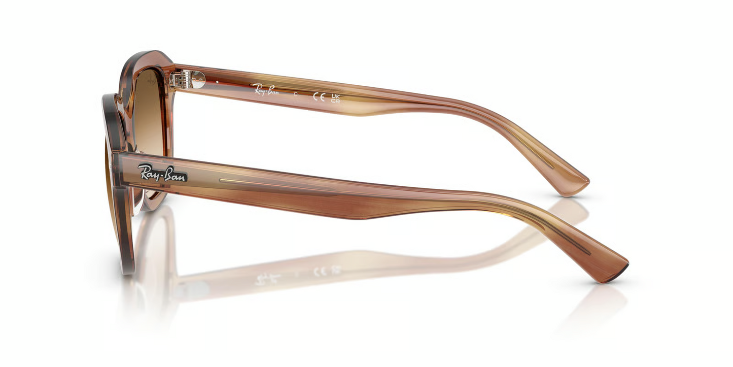 Ray-Ban RB4398 Erik Sunglasses