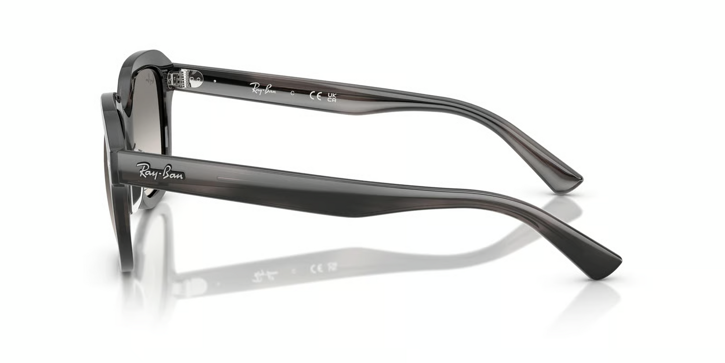 Ray-Ban RB4398 Erik Sunglasses