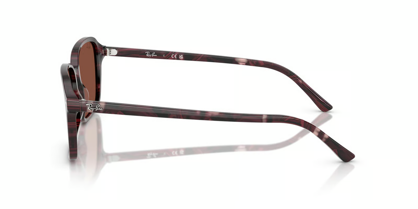 Ray-Ban RB2231F Raimond Sunglasses