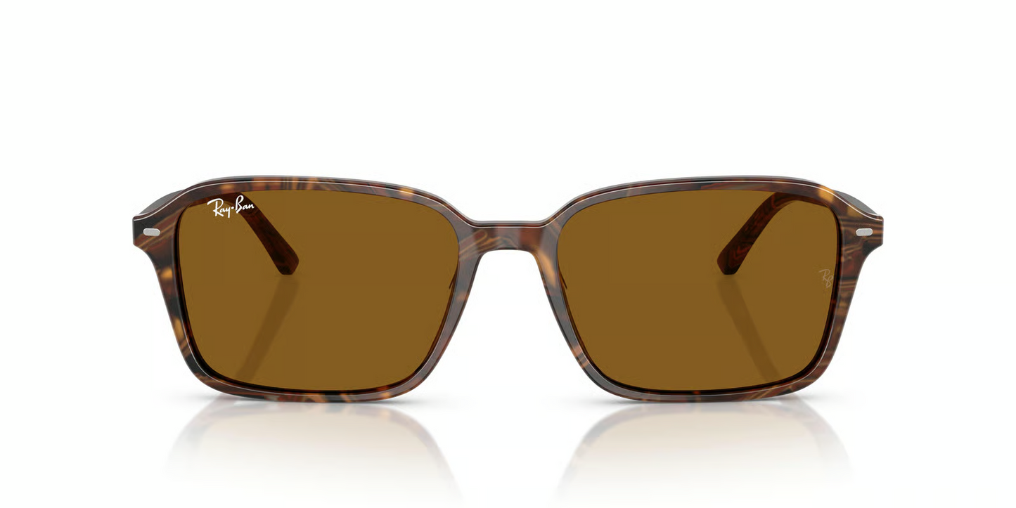 Ray-Ban RB2231F Raimond Sunglasses