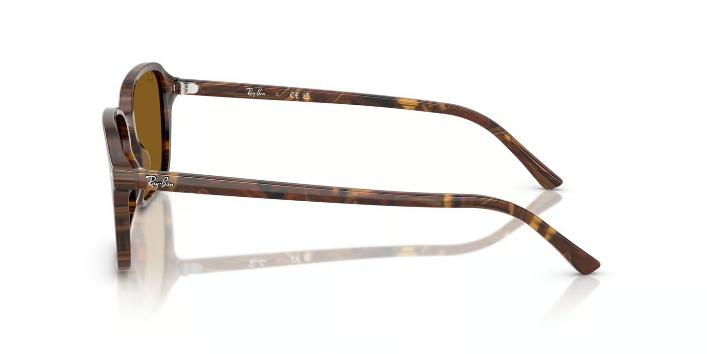 Ray-Ban RB2231F Raimond Sunglasses