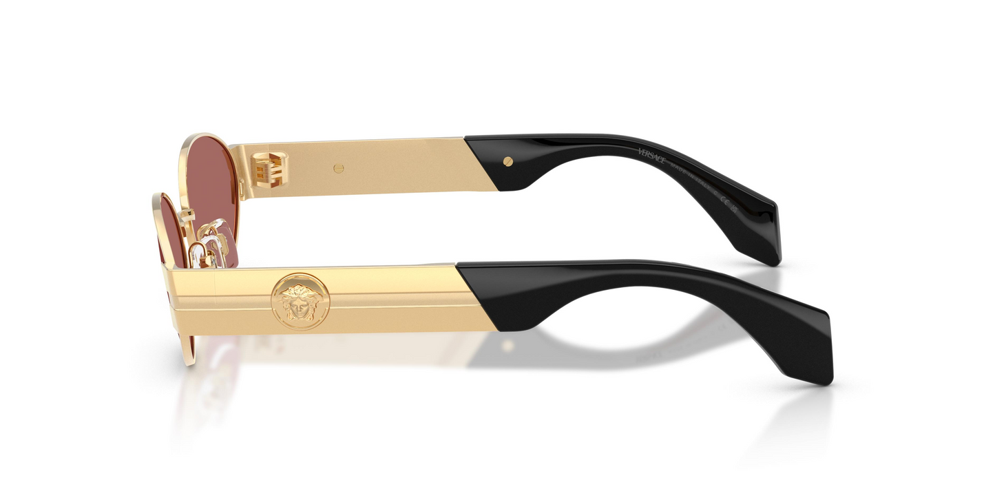 Versace VE2301 Sunglasses