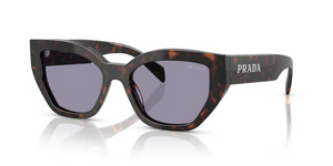 17N03N - Root Tortoise with Grey Lenses