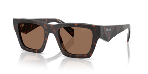 17N06B - Root Tortoise with Dark Brown Lenses