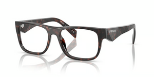 17N1O1 - Root Tortoise with Clear Lenses