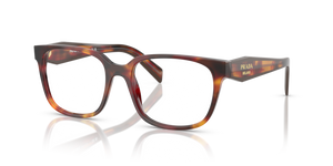 22A1O1 - Poppy Tortoise with Clear Lenses