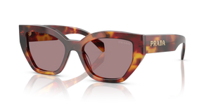 22A20I - Poppy Tortoise with Light Purple Brown Lenses