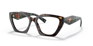 15S1O1 - Black Crystal Tortoise with Clear Lenses