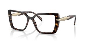 2AU1O1 - Tortoise with Clear Lenses
