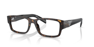 2AU1O1 - Tortoise with Clear Lenses