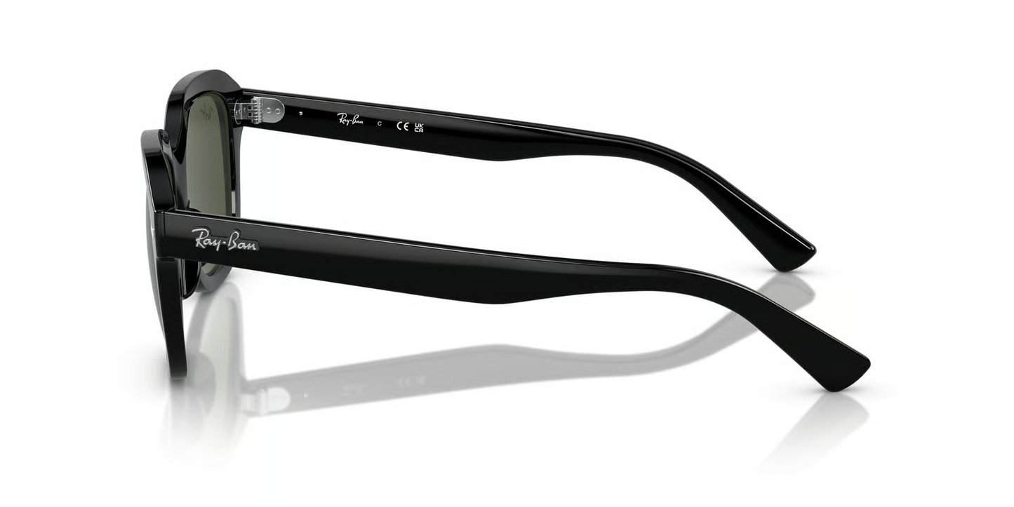 Ray-Ban RB4398 Erik Sunglasses