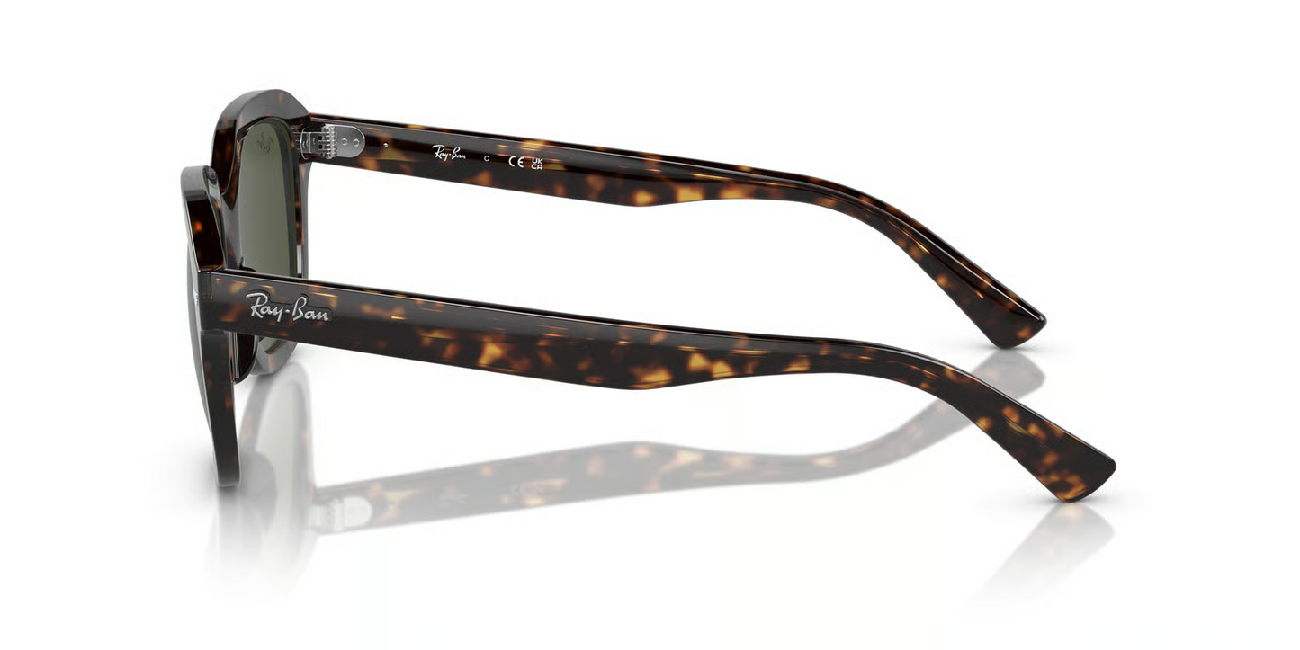 Ray-Ban RB4398 Erik Sunglasses