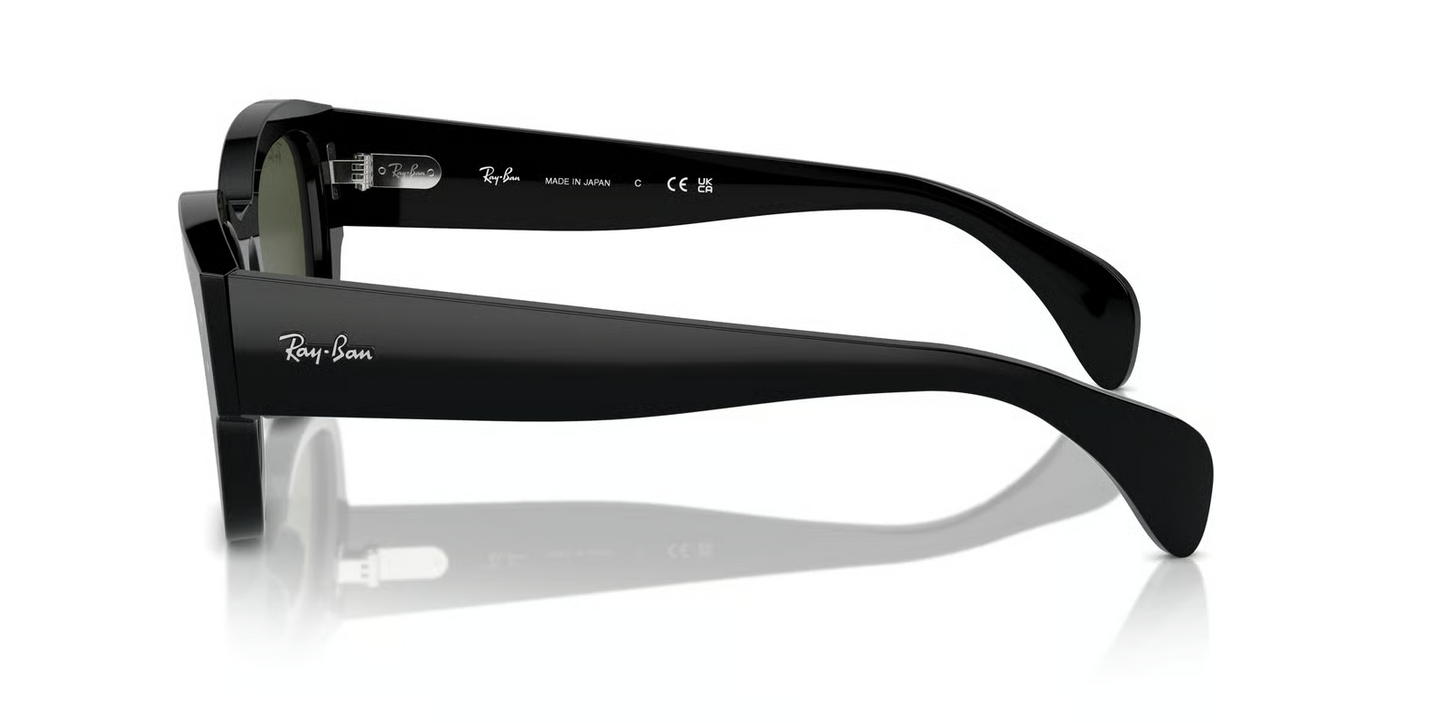 Ray-Ban RB7681S Jorge Sunglasses