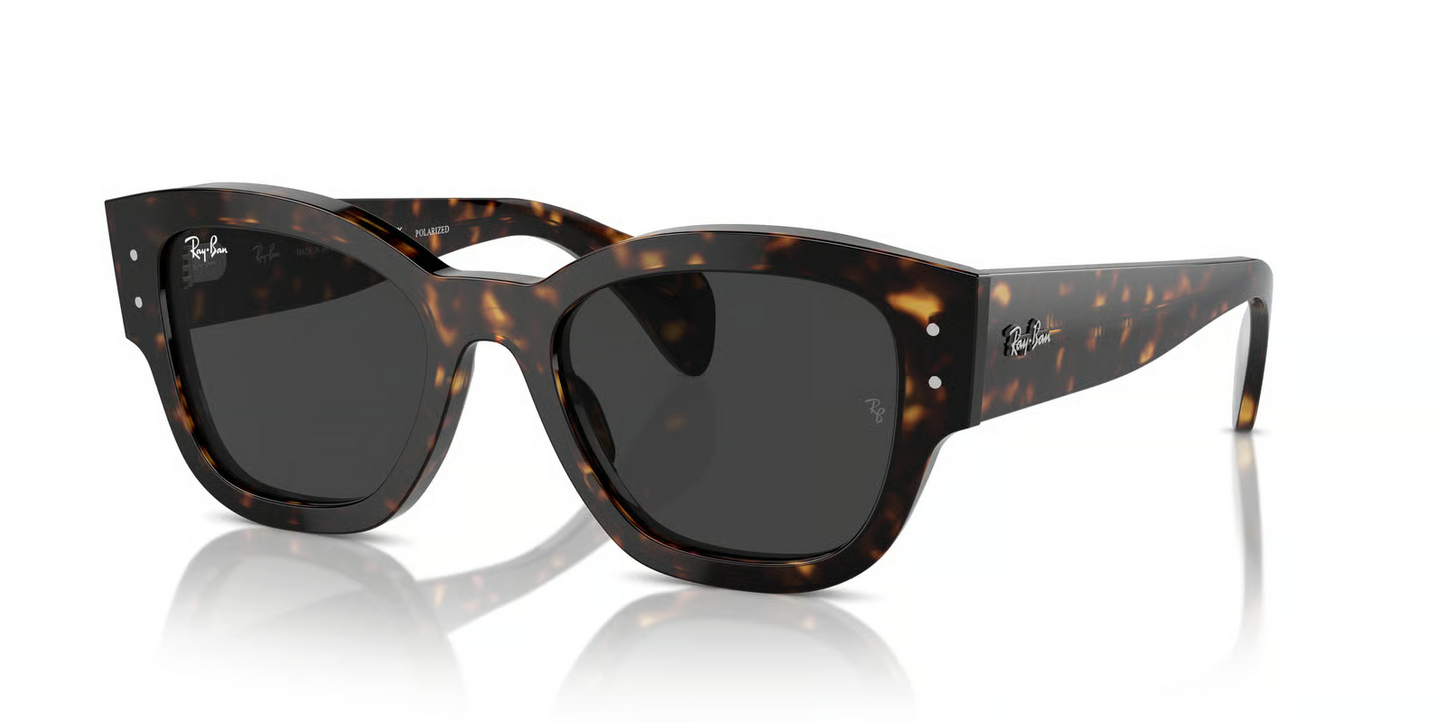 Ray-Ban RB7681S Jorge Sunglasses