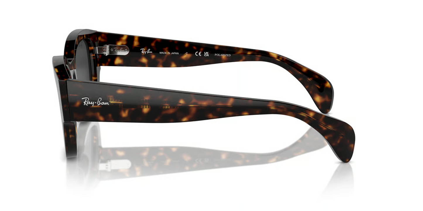 Ray-Ban RB7681S Jorge Sunglasses