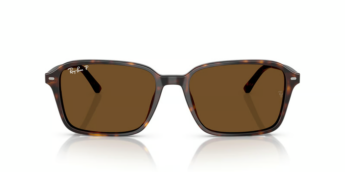 Ray-Ban RB2231F Raimond Sunglasses