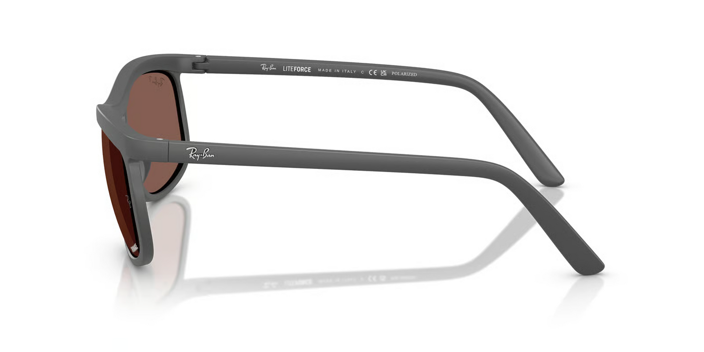 Ray-Ban RB4452CH Sunglasses