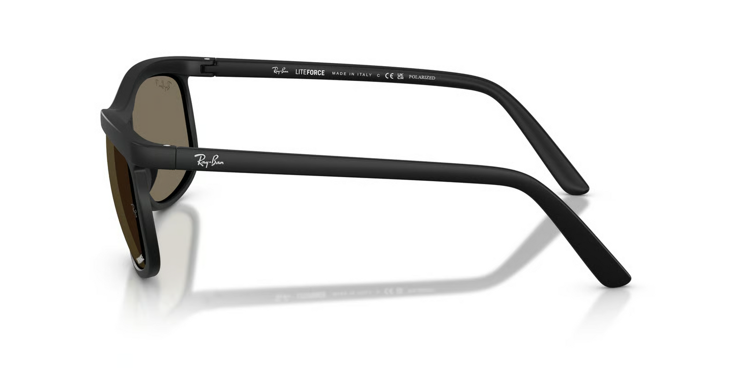 Ray-Ban RB4452CH Sunglasses