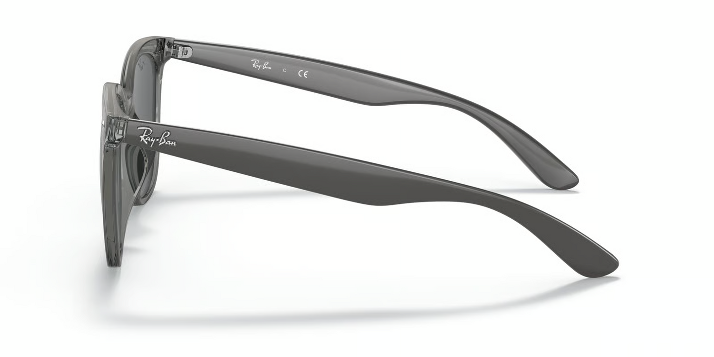 Ray-Ban RB4379D Sunglasses