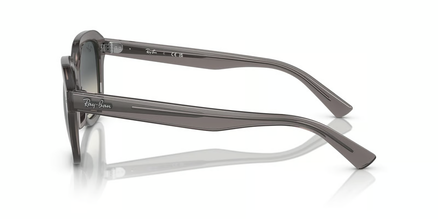 Ray-Ban RB4398 Erik Sunglasses