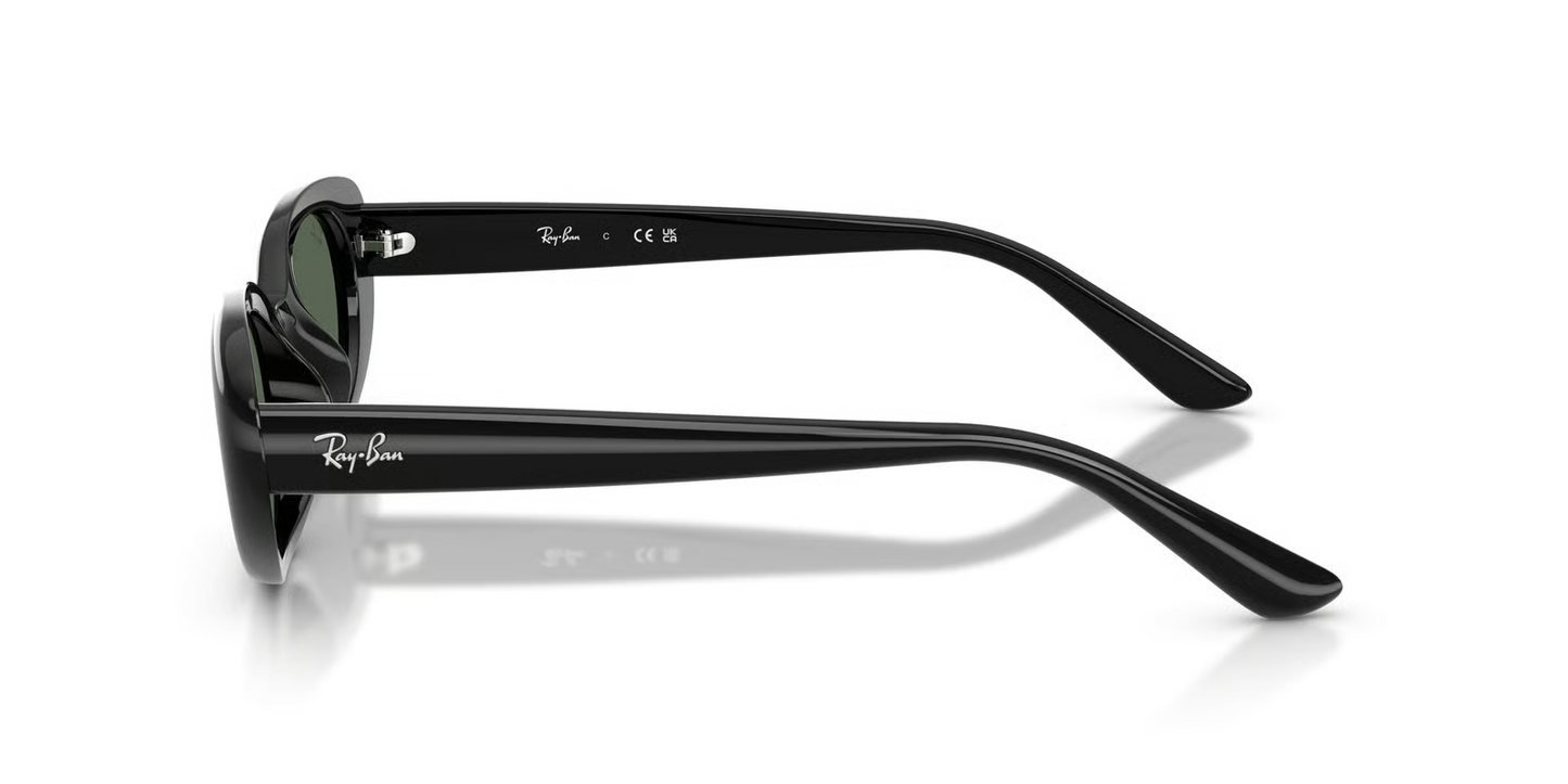 Ray-Ban RB4441D Sunglasses