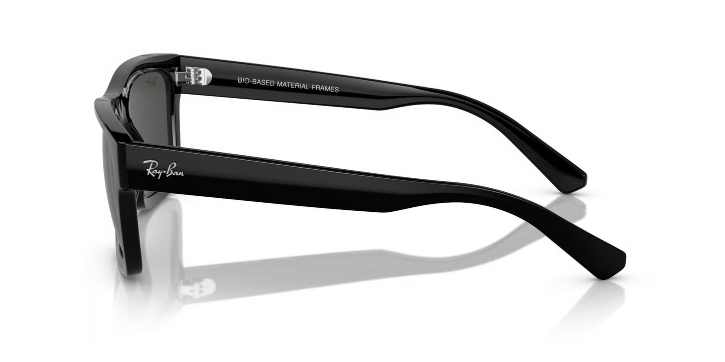Ray-Ban RB4396 Warren Sunglasses