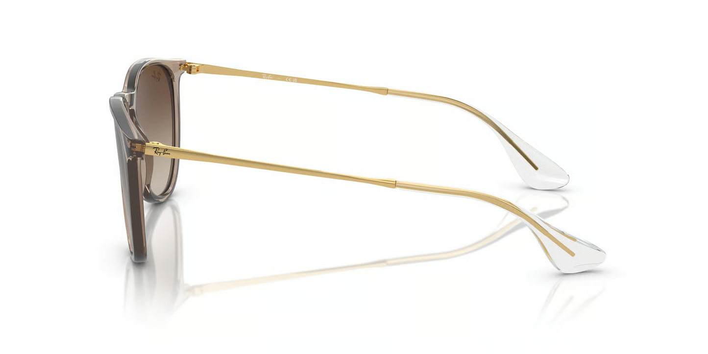Ray-Ban RB4171F Erika Sunglasses