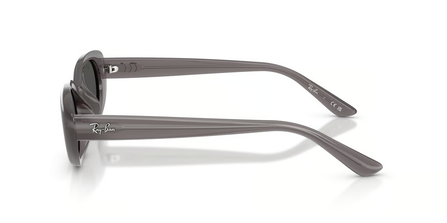 Ray-Ban RB4441D Sunglasses