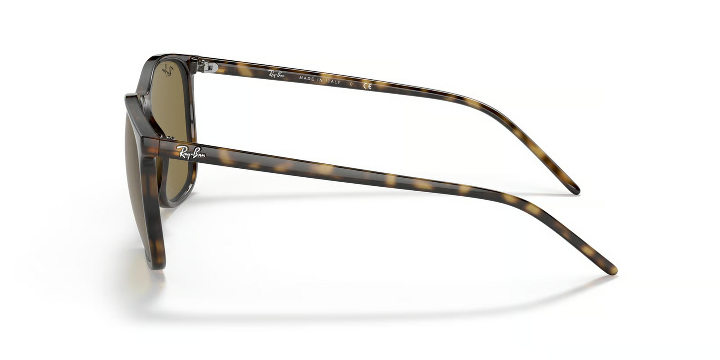 Ray-Ban RB4387 Sunglasses